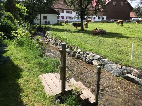 Apartamento Die Dirndlk�nigin