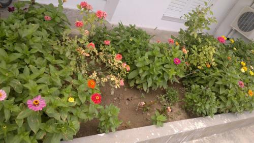 Fania Apartments