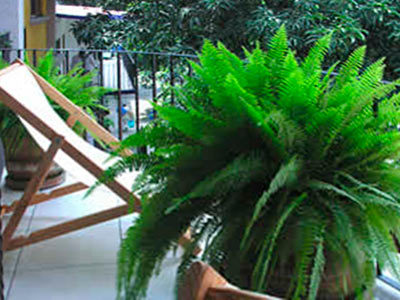Hotel Parador De Manolos