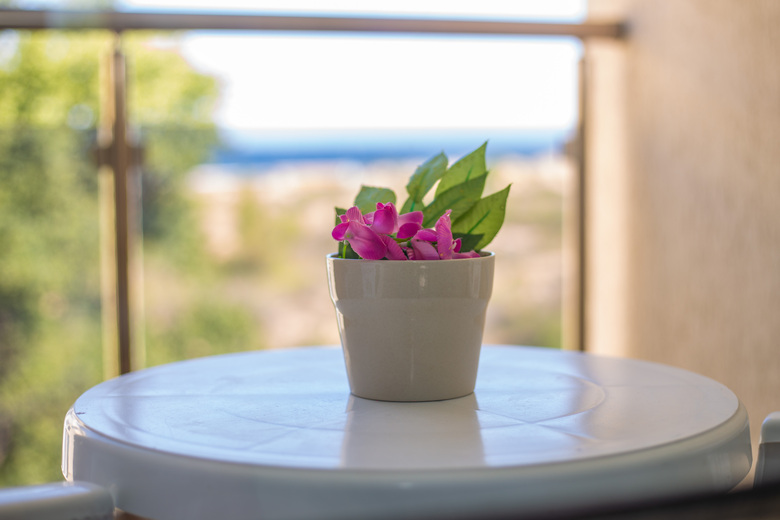 Hotel Fregata Amphibia Beach Complex