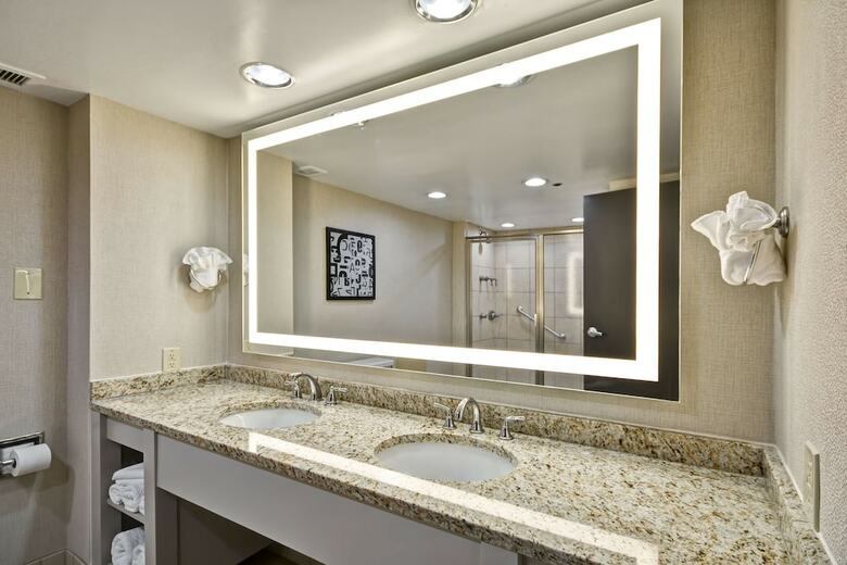 Hotel Embassy Suites Charlotte