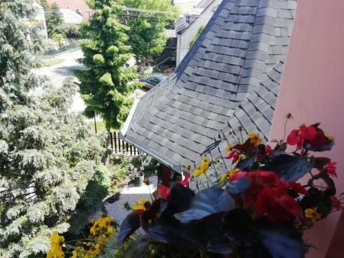 Hostal Ilona Kis Kast�ly Panzi�