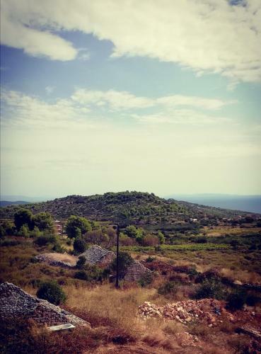 Holiday Home Burba