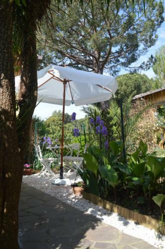 Le Cicale