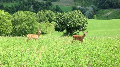 Agroturismo Pratalbino