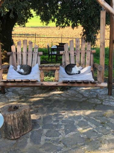 B&B Il Soffio Di Eolo