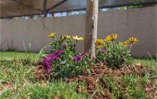 One-bedroom Apartment Vantacici 03