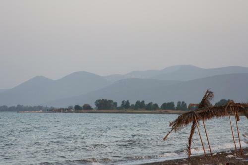Sokrates Guest House