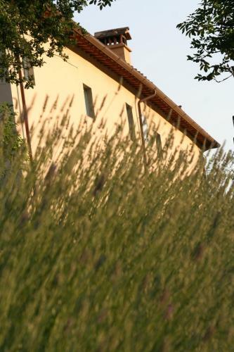 Agroturismo Bioagriturismo Podere Montisi