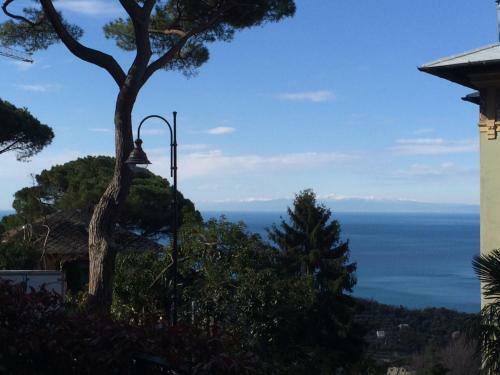 Virgin Stay Portofino