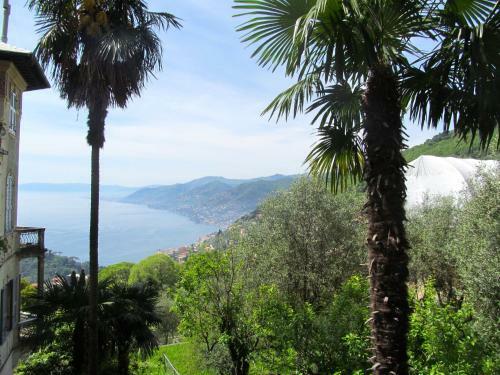 Virgin Stay Portofino