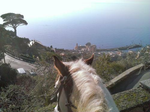 Villetta Sul Mare
