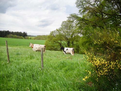 Agroturismo Fermeaust