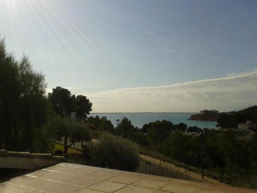 Les Oliveres Beach Resort