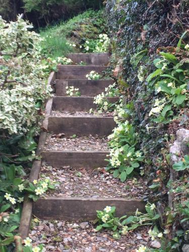 Bed & Breakfast Westwaterhead