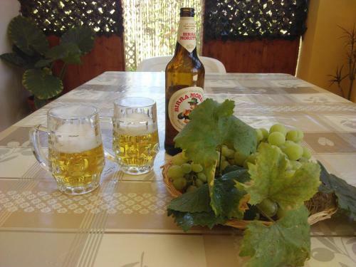 Apartamento Il Fenicottero Guest House