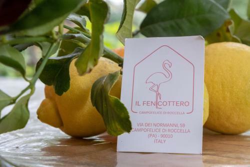 Apartamento Il Fenicottero Guest House