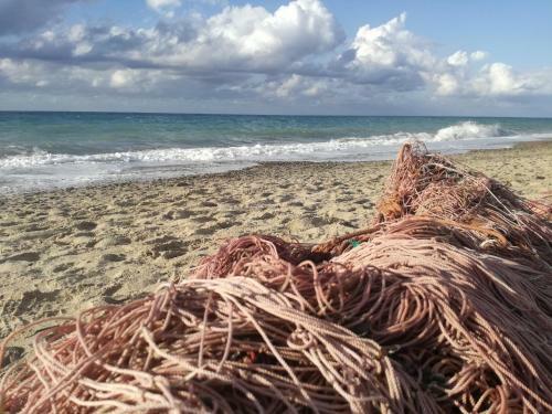 Apartamento Il Fenicottero Guest House