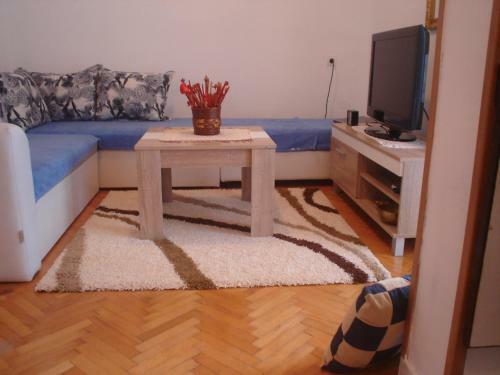 Apartment Babin Do