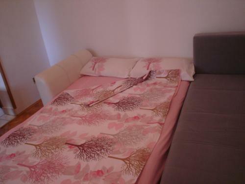 Apartment Babin Do