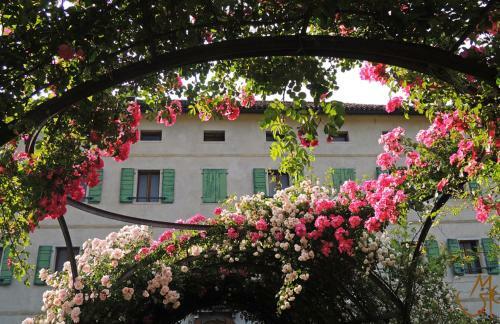 B&B Dolomitincanto