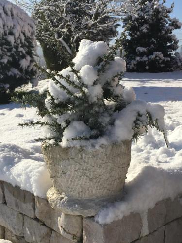 B&B Dolomitincanto