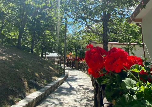 Camping Village La Verna