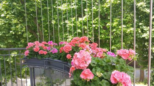 Bed & Breakfast Beb Le Terrazze Torino - Ciri�