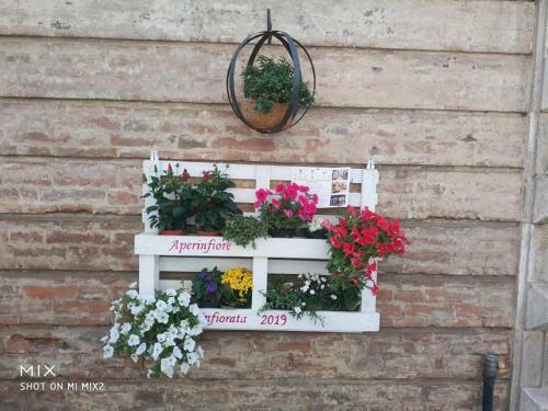 Apartamento B&B Chez Nous - Citt� Della Pieve