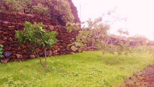 Agroturismo Casa Rural Los Arcos