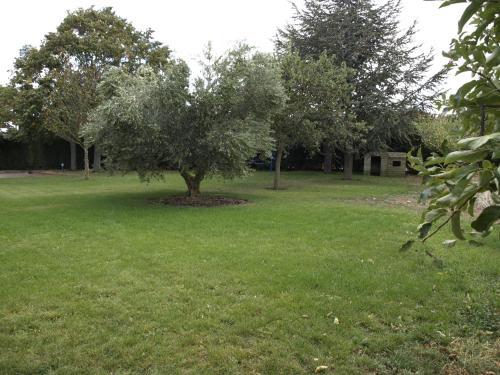 Albergue El Jard�n De Muruz�bal