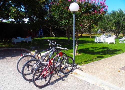 Albergue El Jard�n De Muruz�bal