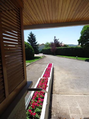 Albergue El Jard�n De Muruz�bal