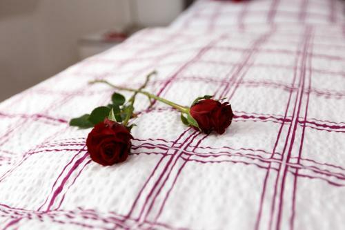 Hostal Altes Burghotel