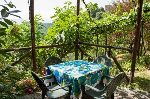 Hostal Chalet With Pool And View On The Olive Groove