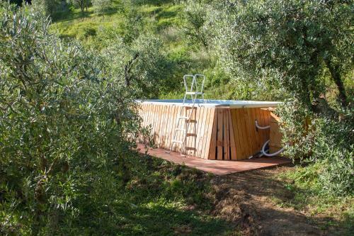 Hostal Chalet With Pool And View On The Olive Groove