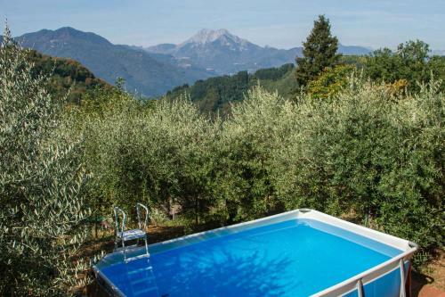 Hostal Chalet With Pool And View On The Olive Groove
