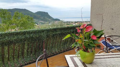 Apartamento Relais Villa Olivi