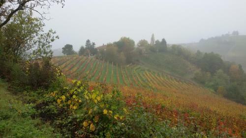 Bed & Breakfast Cascina Torello