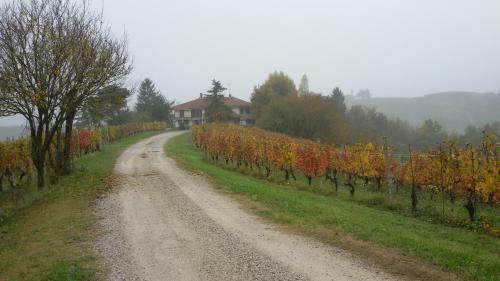 Bed & Breakfast Cascina Torello