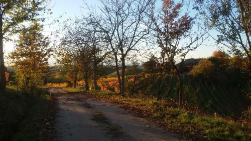Bed & Breakfast Cascina Torello
