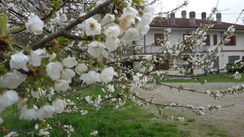 Bed & Breakfast Cascina Torello