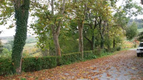 Bed & Breakfast Cascina Torello