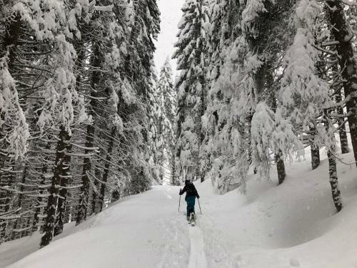 Baita Zeni Tirolerhof - Adult Friendly