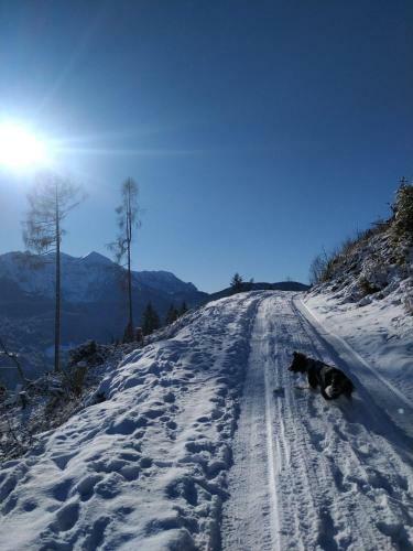 Baita Zeni Tirolerhof - Adult Friendly
