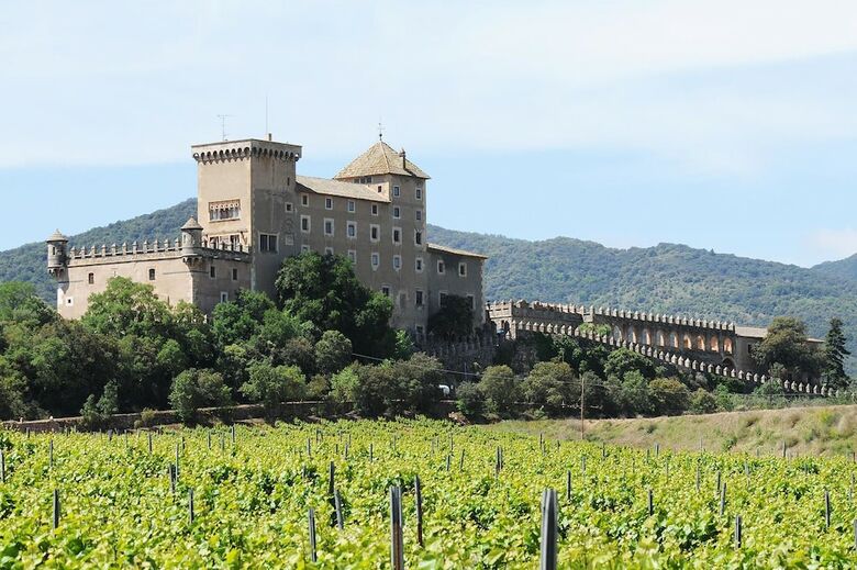 Hotel Castell De Riudabella