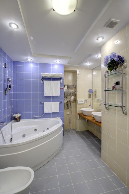 Izmailovo Alfa Hotel