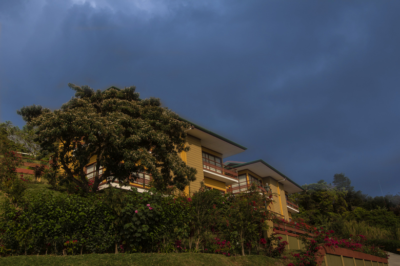 Hotel Ficus