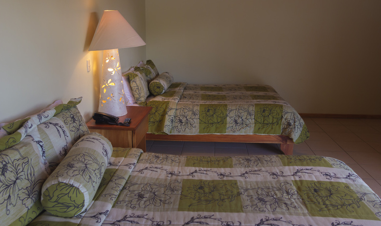 Hotel Ficus