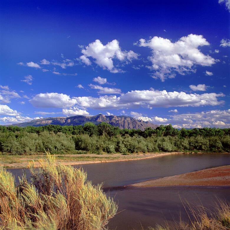 Hotel Sheraton Albuquerque Airport